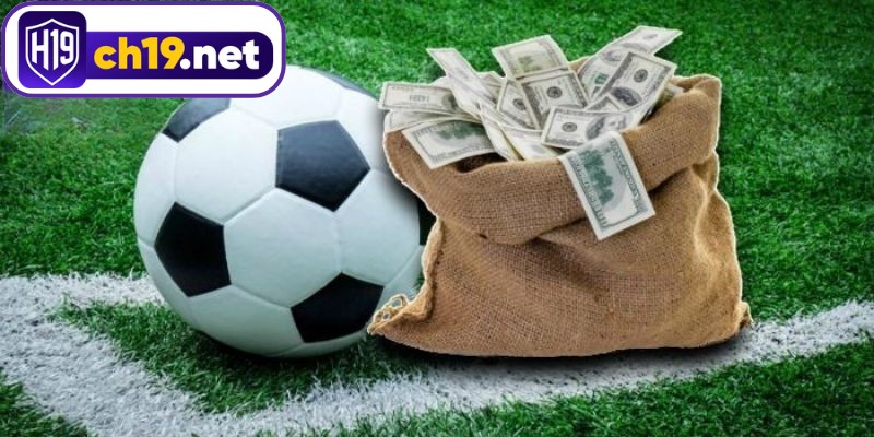 Bí quyết bắt kèo rung cần gắn với diễn biến thật