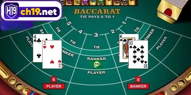 Đọc rõ cửa cược trước khi quan sát bàn